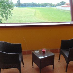 Comfort King Room